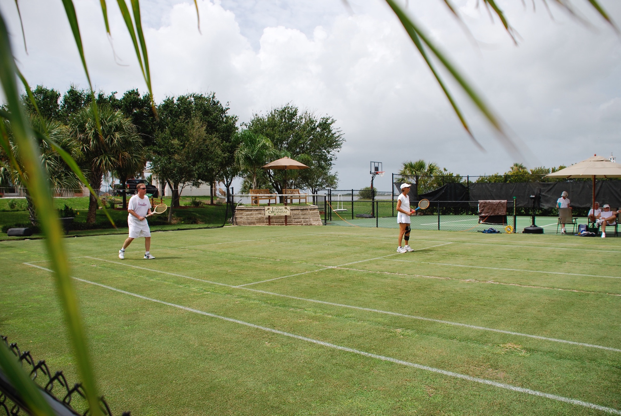 Doubles in whites under the palms
